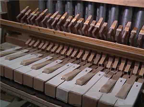 ������������ɵ���